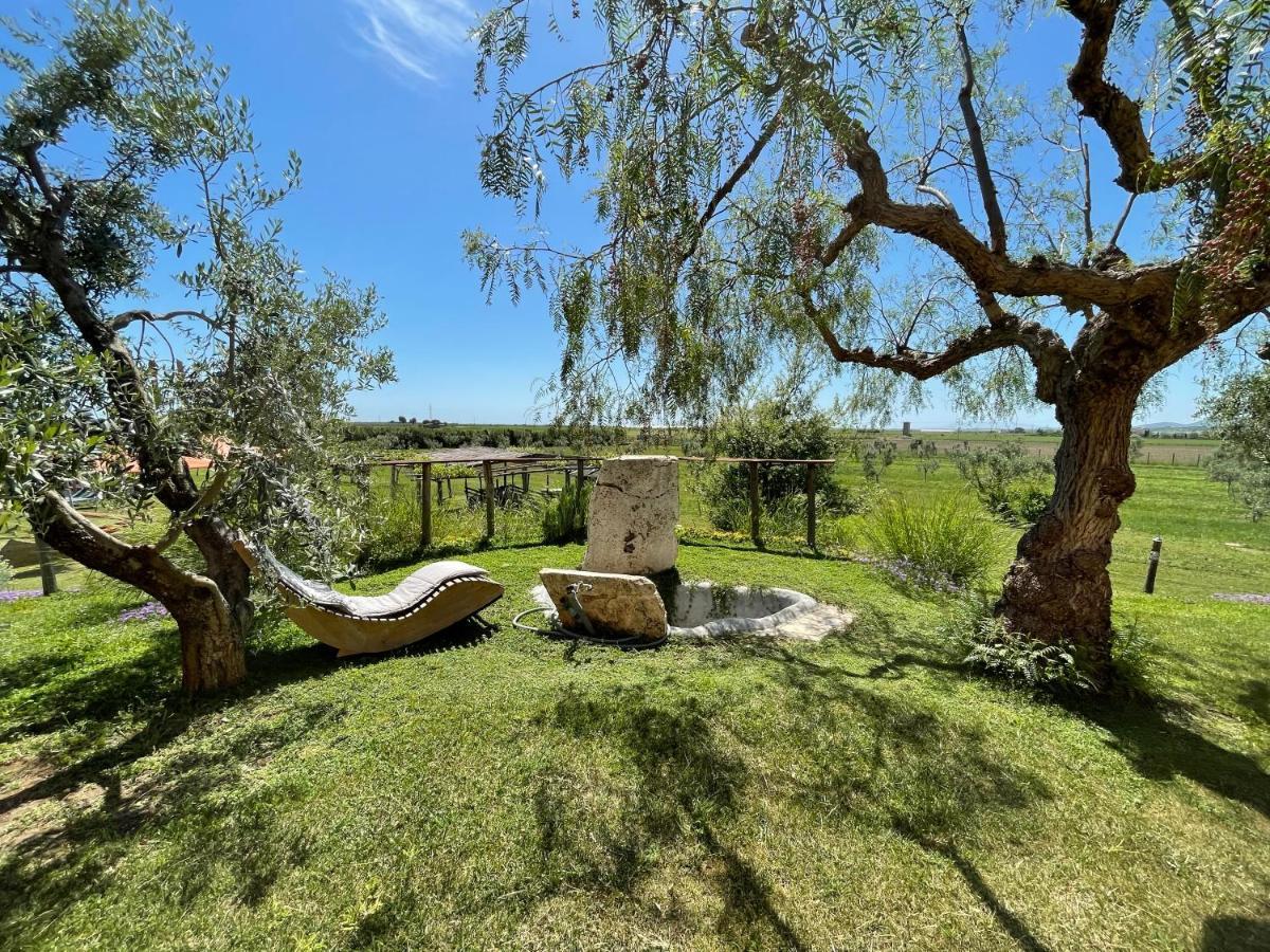 Гостьовий будинок Casa Daniele Canino Екстер'єр фото